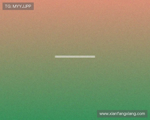 从技术创新到产业升级：鹏华基金陈金伟三季报解析科技驱动的投资机遇